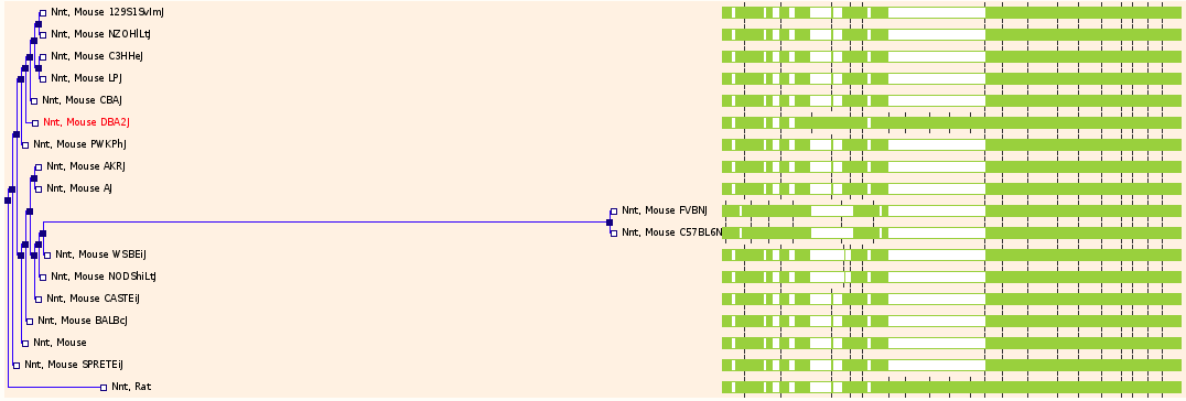 October 2017 – Ensembl Blog