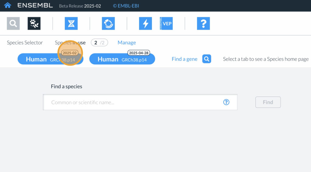 Screenshot of the species lozenges with the date bubbles enabled and highlighted