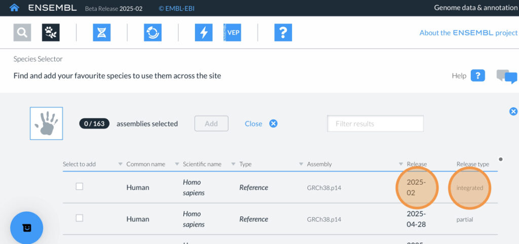 Screenshot of the new Ensembl species selector app with the details of the release type highlighted